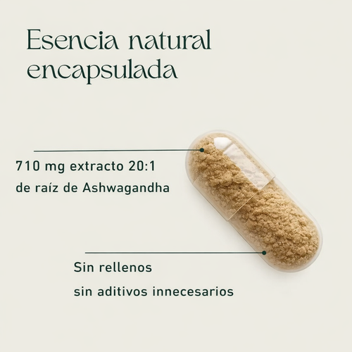 Ashwagandha - 60 Cápsulas