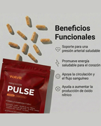 Pulse | Mejora la circulación sanguínea y baja la presión arterial