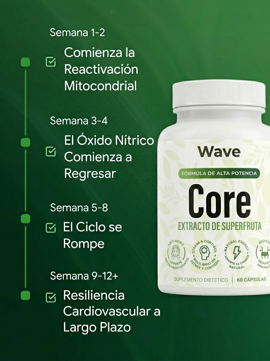 Wave Core | Recuperá tu energía, panza desinflamada, claridad mental todo el día.