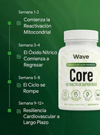 Wave Core | Recuperá tu energía, panza desinflamada, claridad mental todo el día.