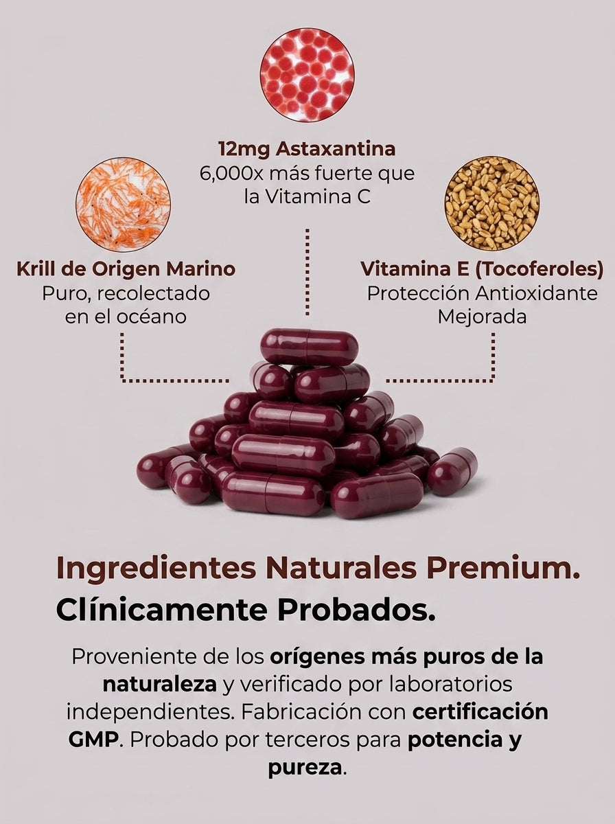 Wave Bioactive | Protege tu piel del sol, reduce arrugas e hidrata la piel