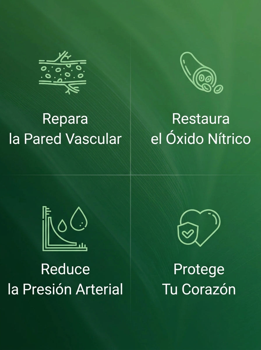 Wave Core | Recuperá tu energía, panza desinflamada, claridad mental todo el día.